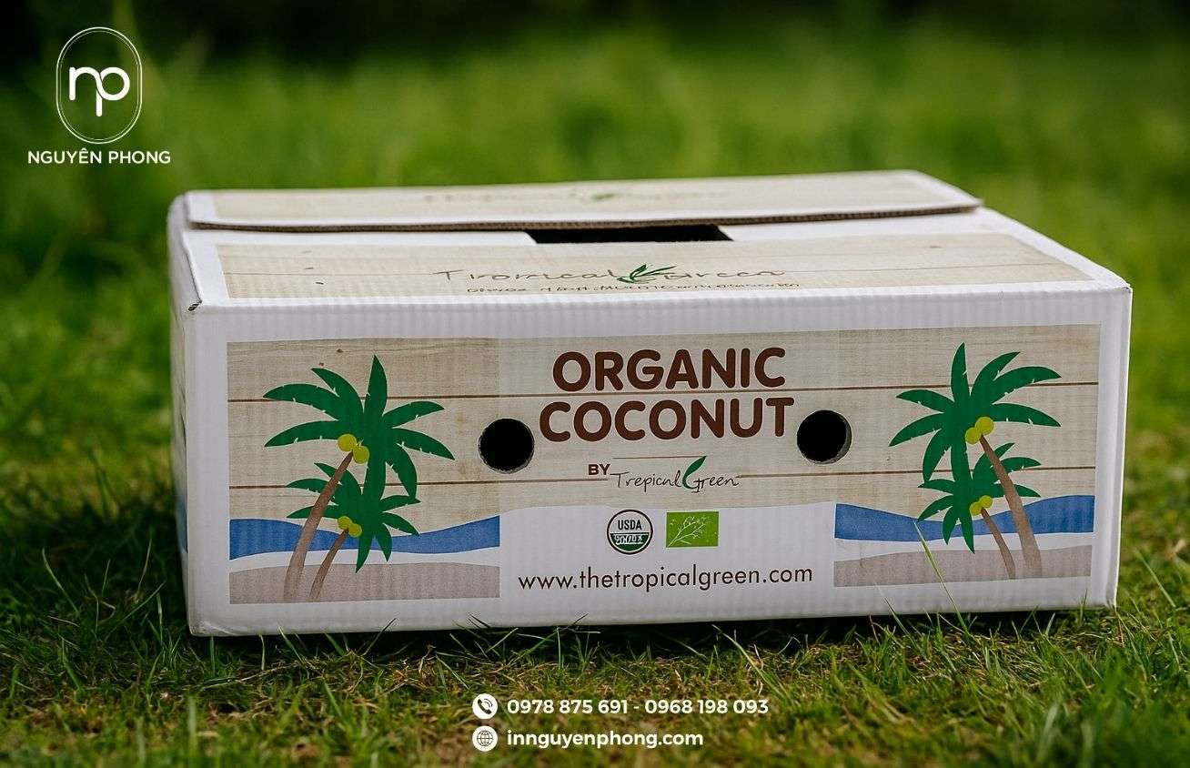 Mẫu thùng carton đựng dừa in thương hiệu